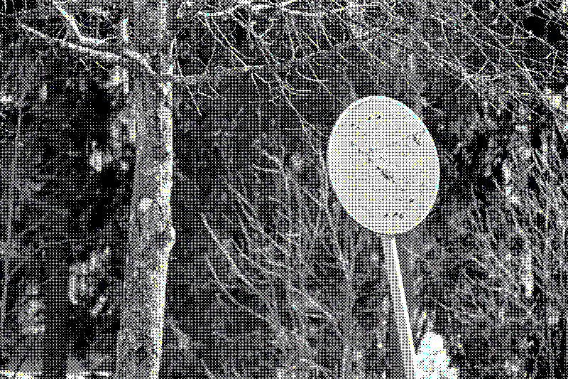 asioita paikoissa