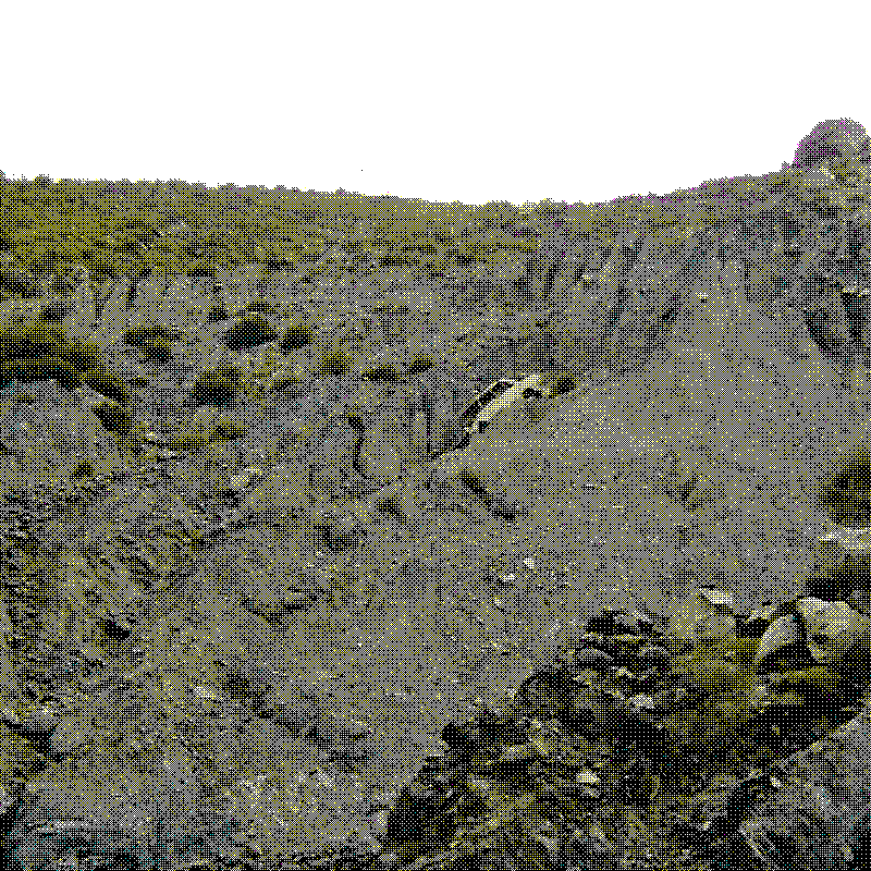 asioita paikoissa